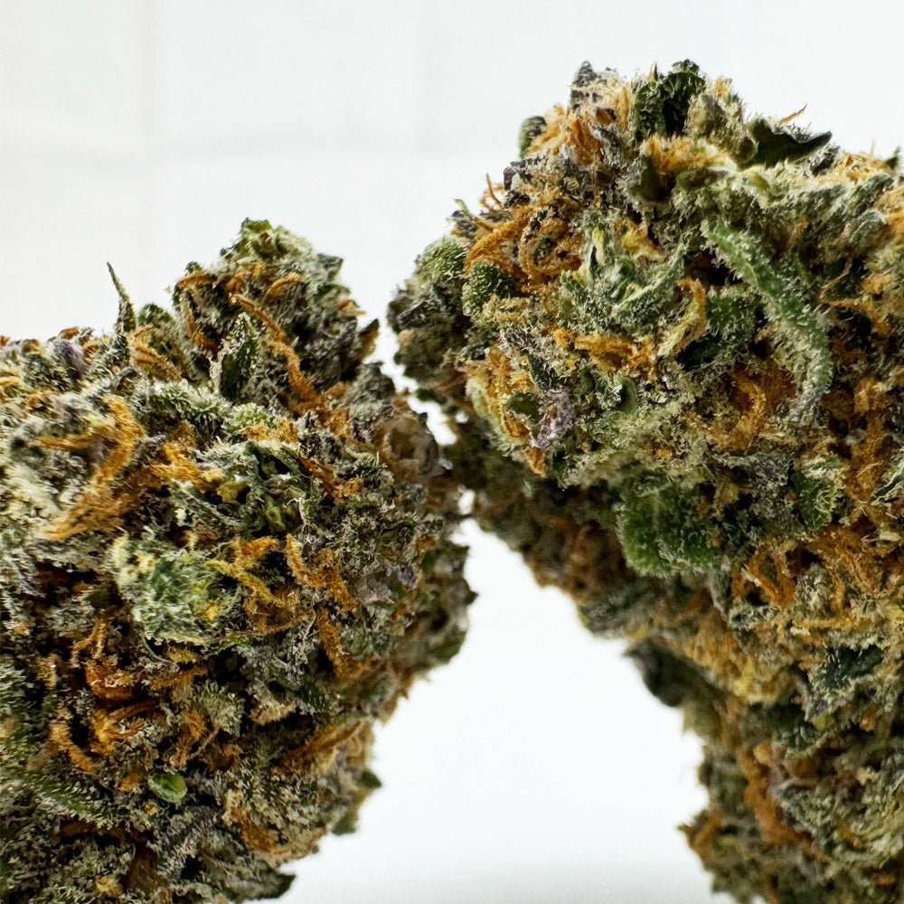 Cherry Pie CBD - Indoor