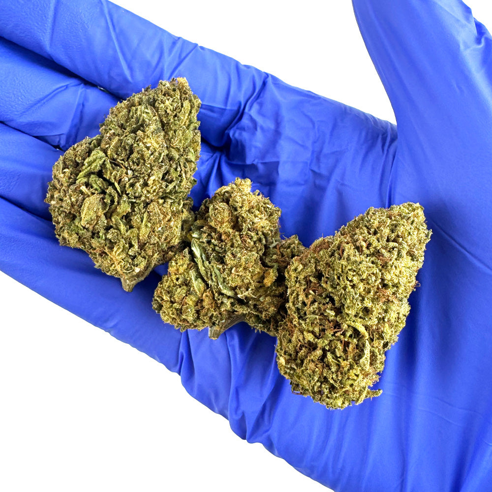 Amnesia Core Cut - Hybride USA — photo 7