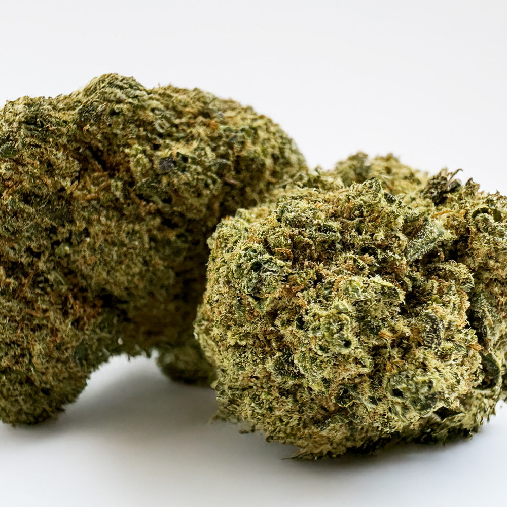 Ice Cream Cake CBD - Hydroponique Cali