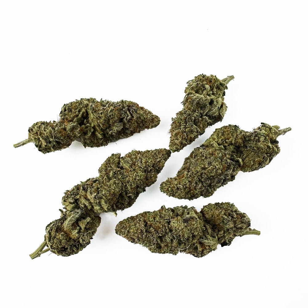 Malabar X Zoap CBD - Indoor