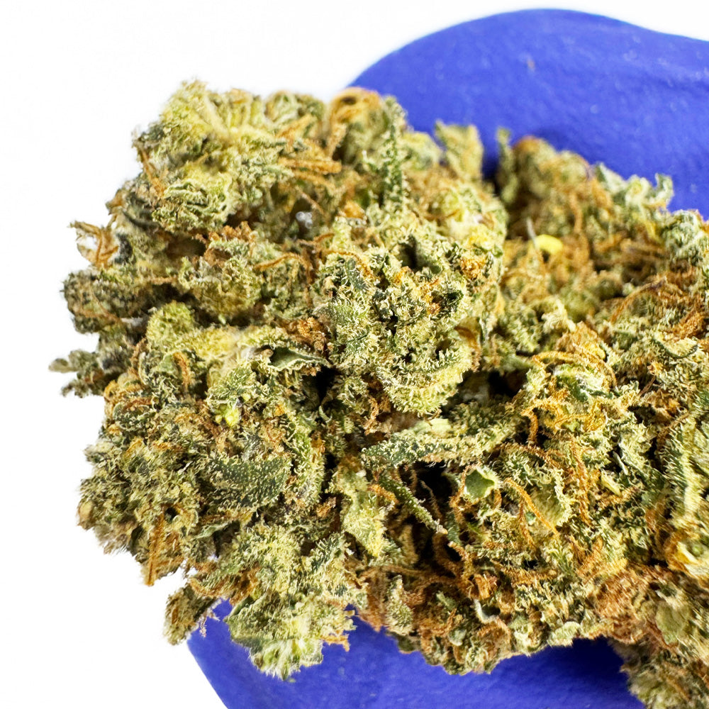 Strawberry Cough CBD - Indoor