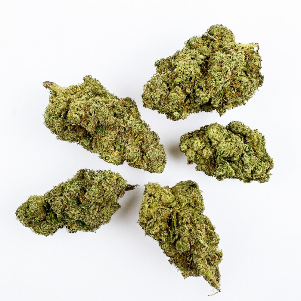 Pack échantillons - Fleurs Indoor Premium - 5 x 3g