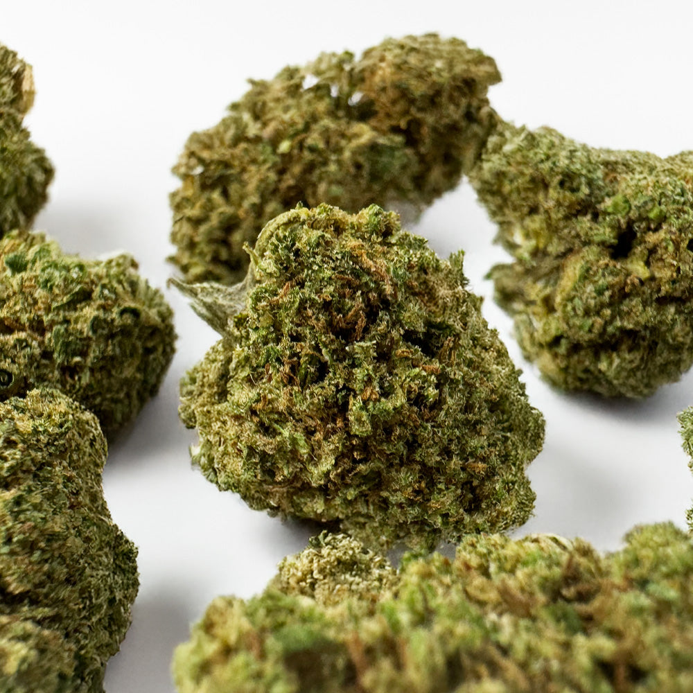 Producteur de CBD : quelles étapes nécessaires pour se lancer ?