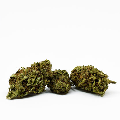 Amnesia Core Cut - Hybride USA