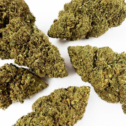 Candy Melon - Glasshouse