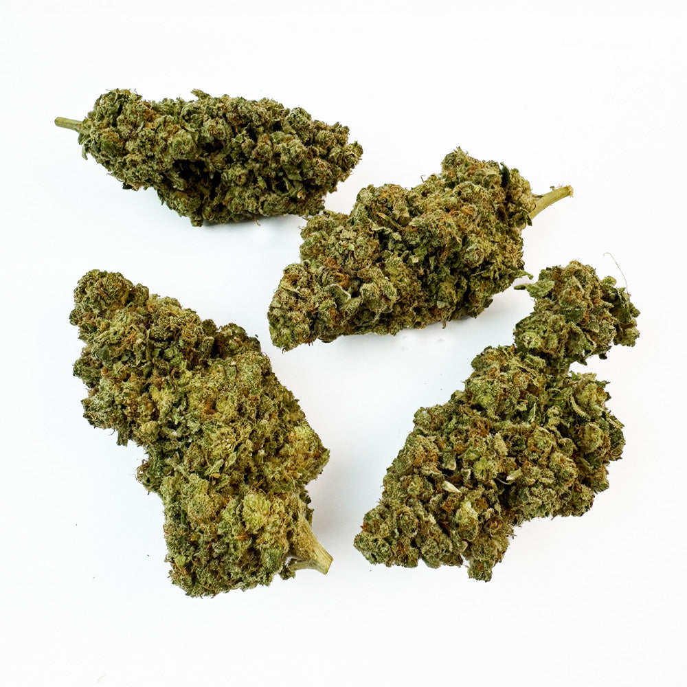 Creamy Deluxe - Indoor Elite USA — photo 3