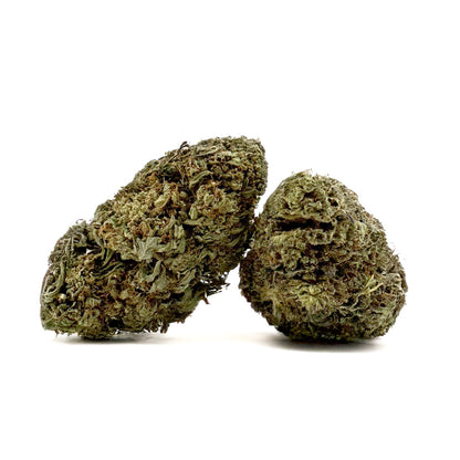 Critical - Hybride USA