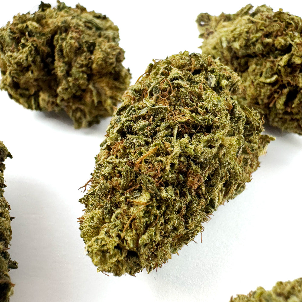 Amnesia Core Cut - Hybride USA — photo 5