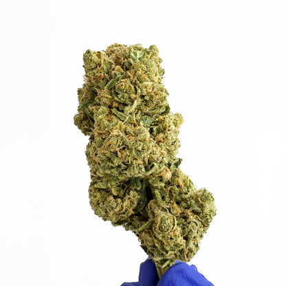 Amnesia HT CBD - Indoor — photo 5