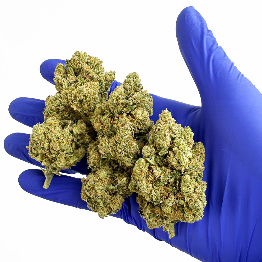 Amnesia HT CBD - Indoor — photo 6