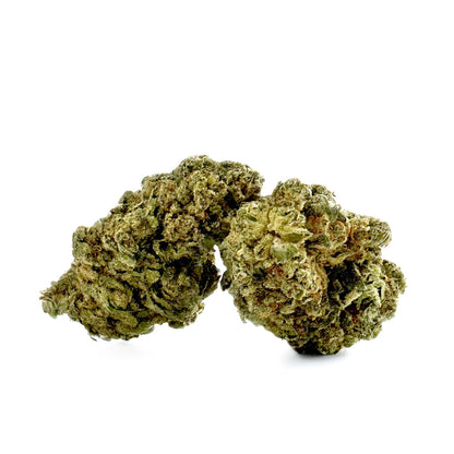 Gasolina CBD - Indoor