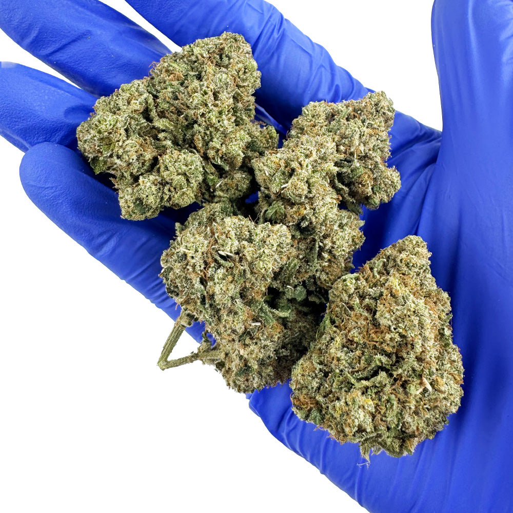 Guava Kush CBD - Indoor — photo 6