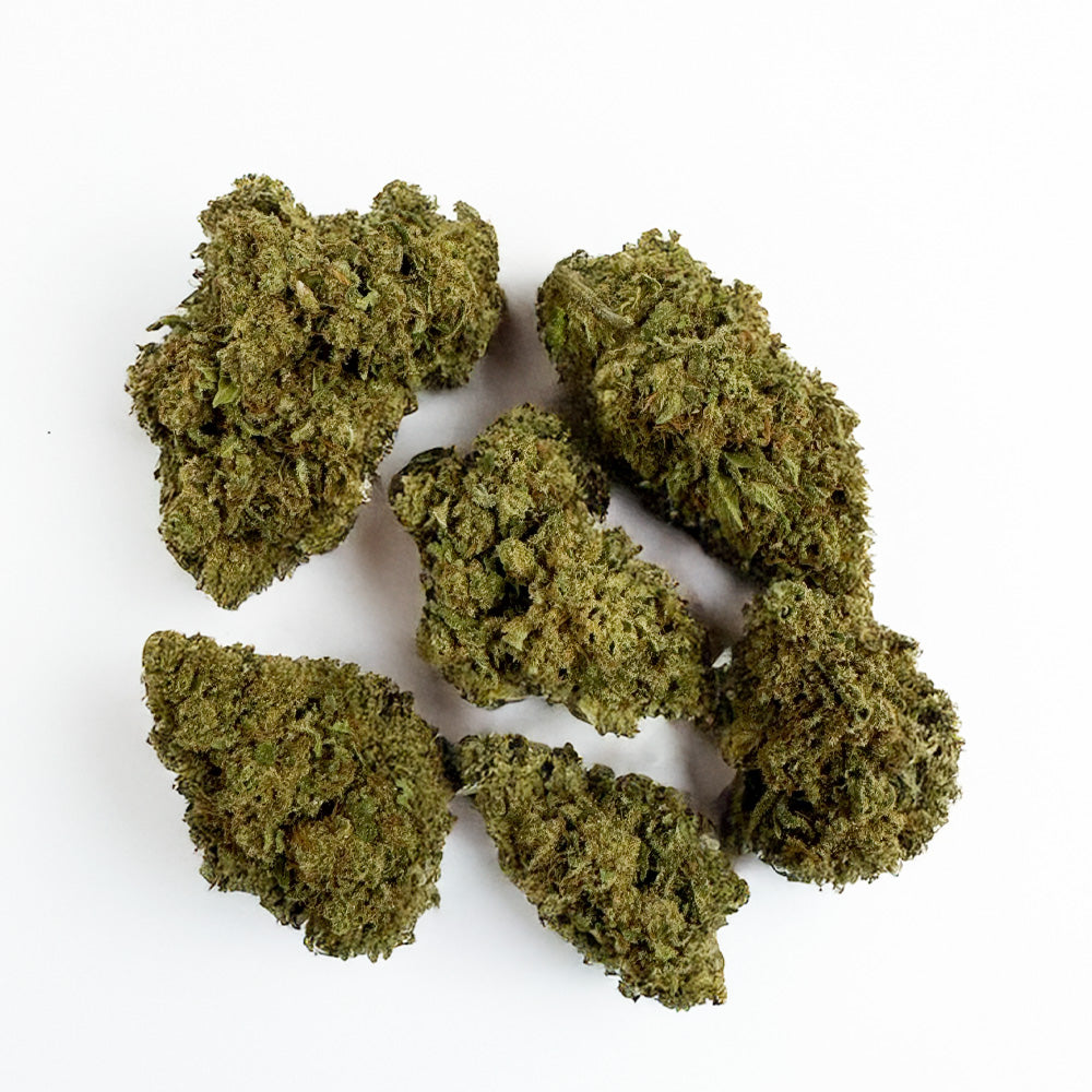 Pack échantillons - Fleurs bon marché - Glasshouse & Greenhouse - 7 x 5g