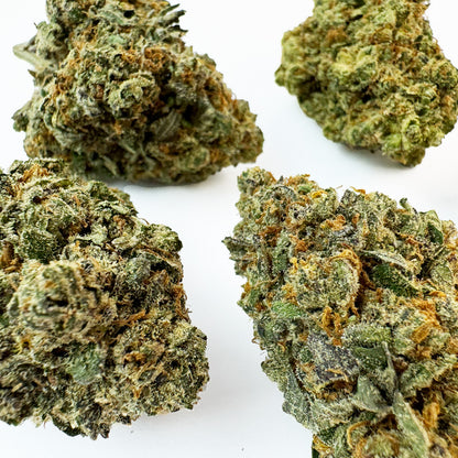 Kosher Kush - Indoor Elite USA — photo 2