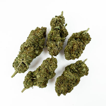 Malabar #B2 CBD - Indoor
