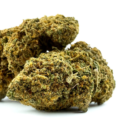 Orange Bud - Indoor
