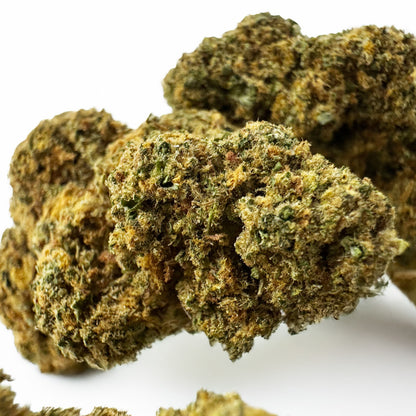Orange Bud - Indoor