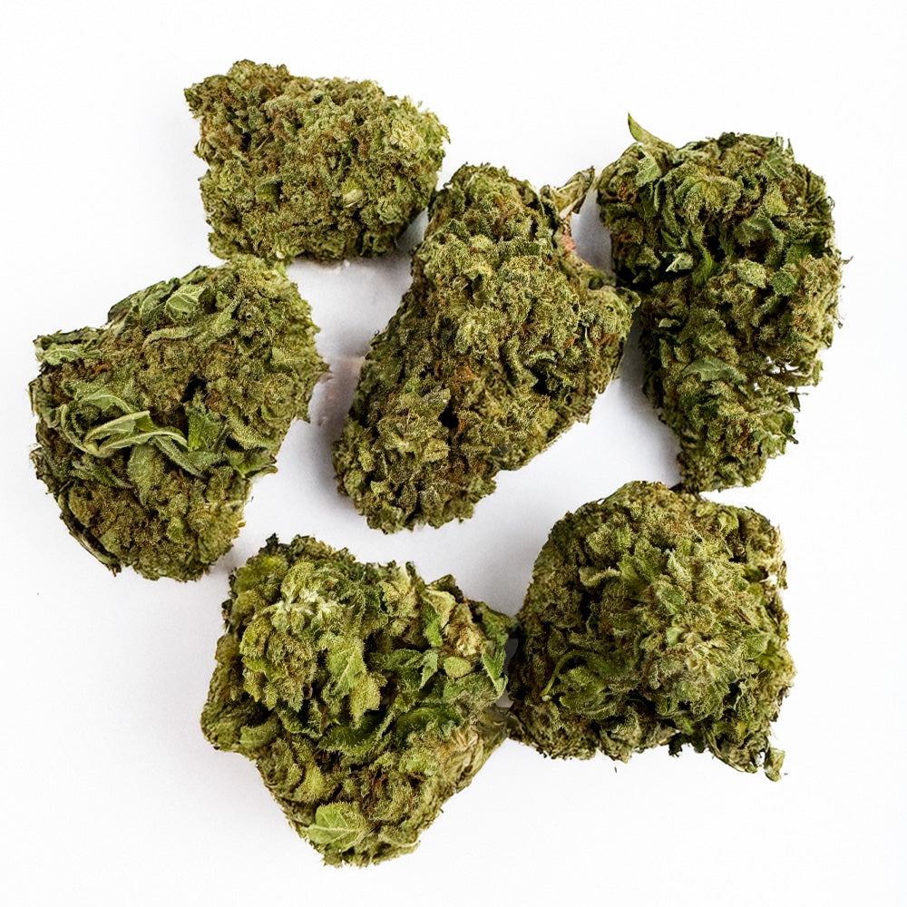 Orangello - Greenhouse