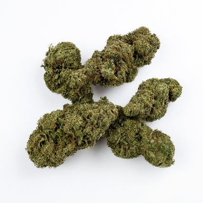 Plutonium - Indoor