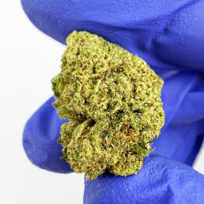Small buds Royal OG - Hybride