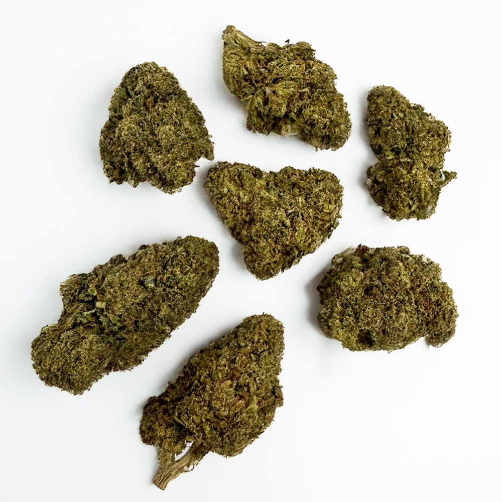 Skywalker - Indoor