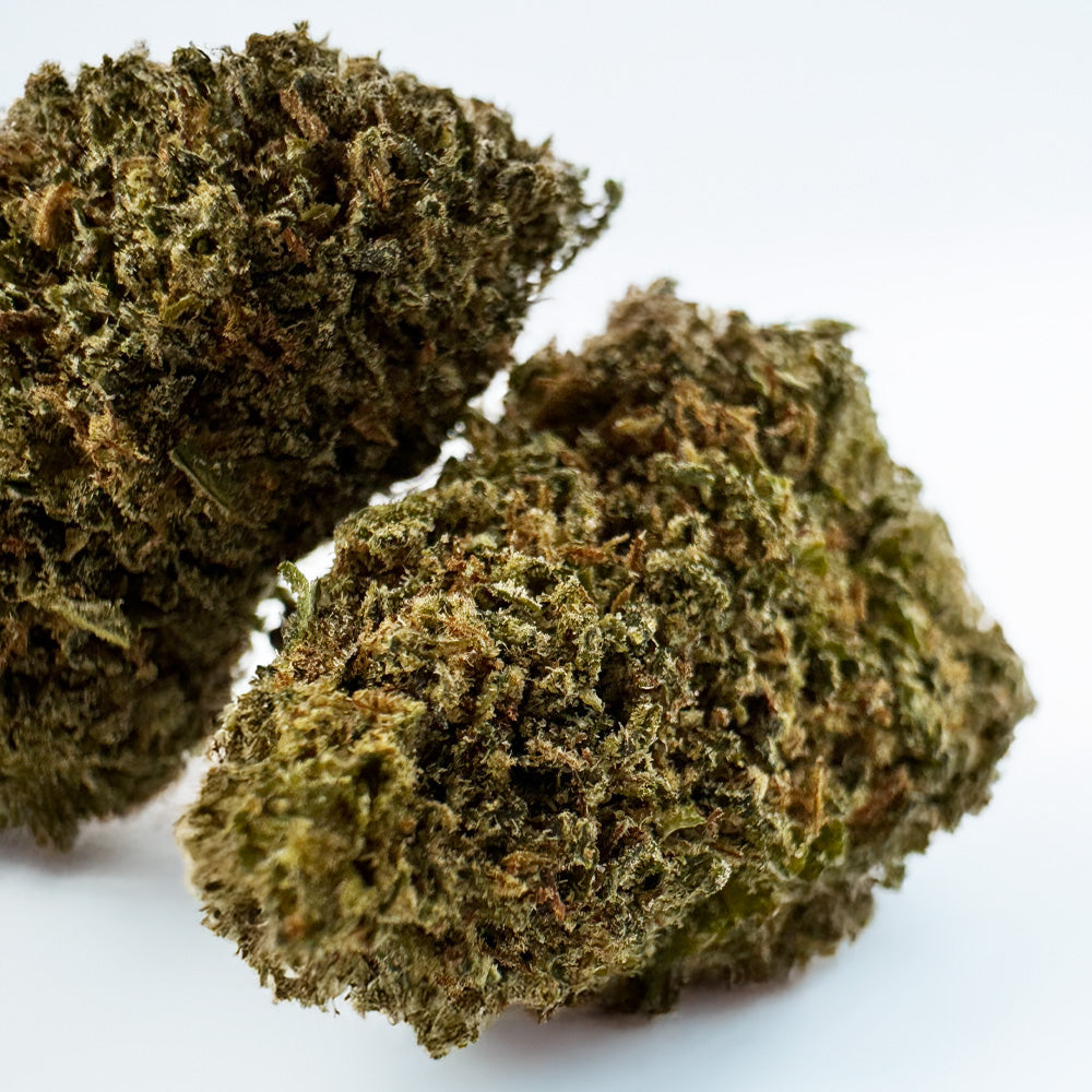 Skywalker - Indoor