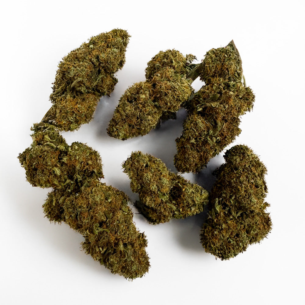 Strawberry - Glasshouse