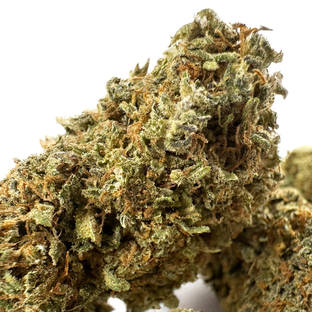 Strawberry Cough CBD - Indoor