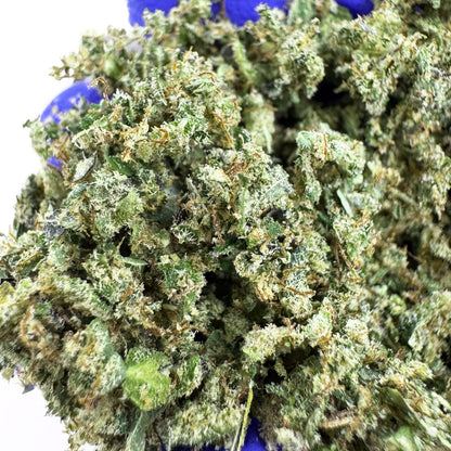 Trim A Indoor