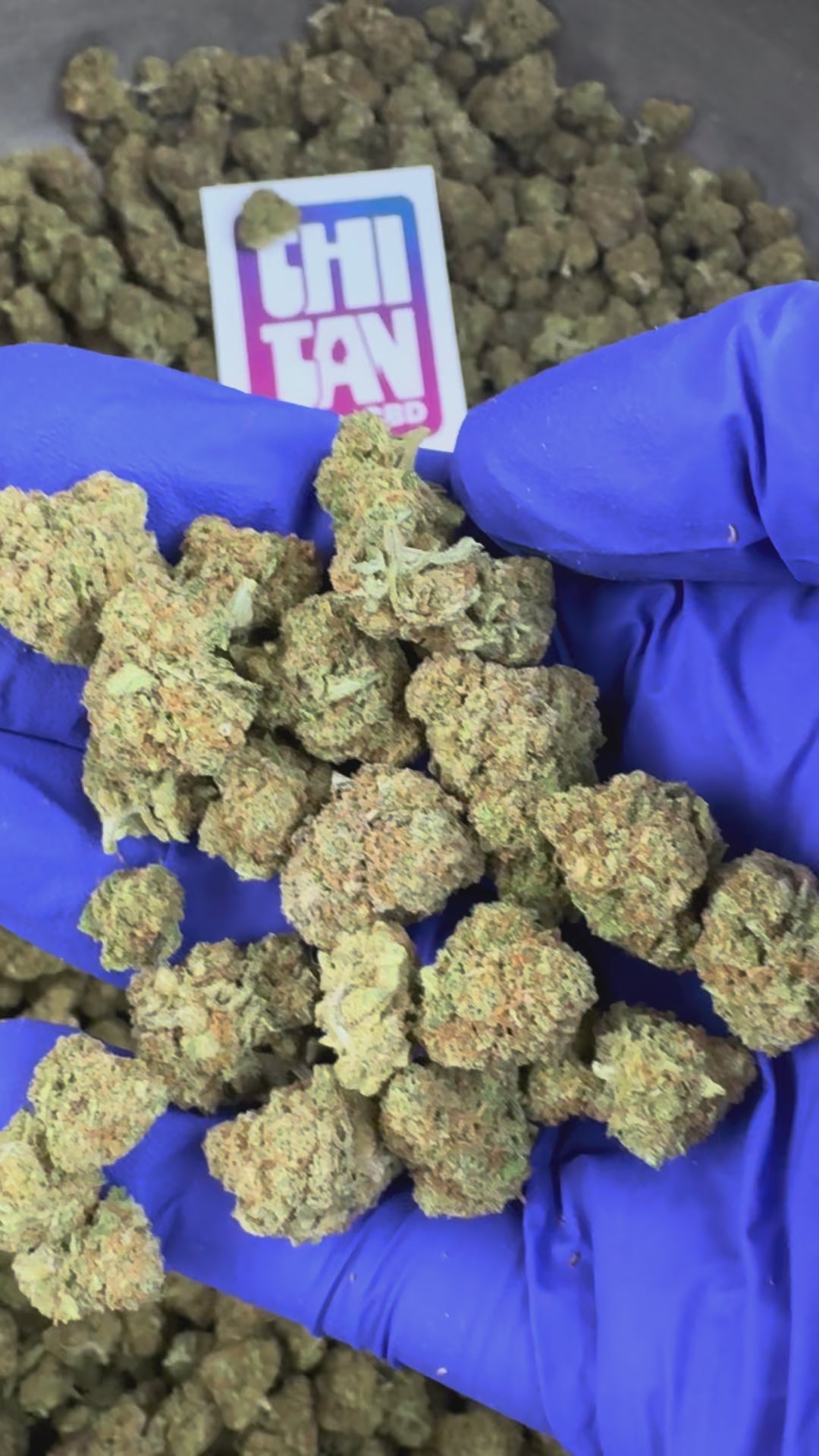 Charger la vidéo: Vidéo de présentation des Small Buds HQ Limo CBD Indoor