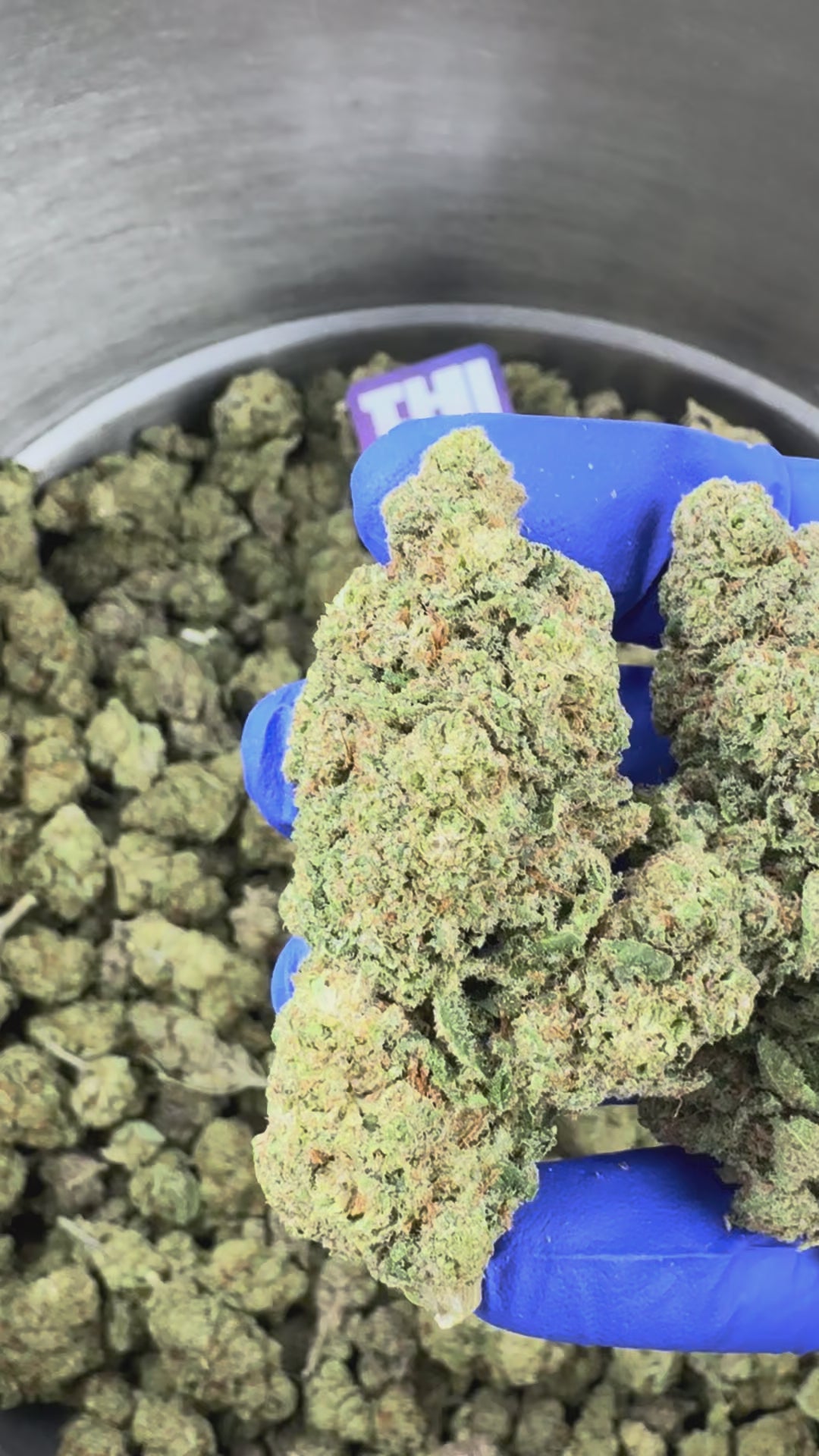 Charger la vidéo: Captain Crunch - Indoor Elite USA — vidéo de présentation
